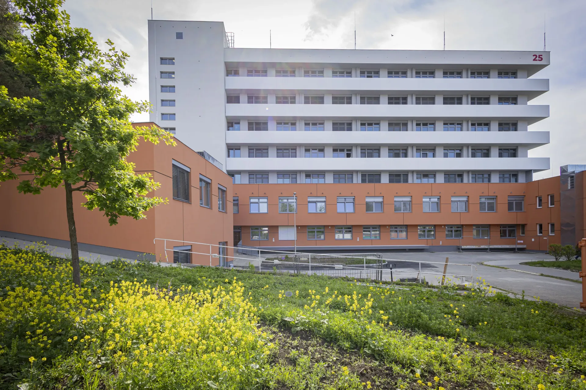 Od pandemie k novému začátku